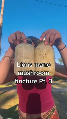 Here you guys go here’s what the hype was all about 💜🦁🍄  I’m such a scattered brain person I hope I make sense lol follow me for more foraging and mushroom videos!! #mushroom #mushrooms #foraging #forager #lionsmane #lionsmanemushroom #naturalremedy #medicinalmushroom #memoryloss #tbi #natural #naturalmedicine #naturalfood 