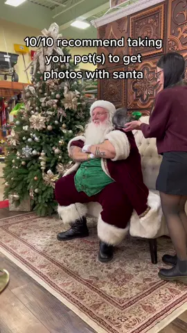 they always come out so cute 🥹  #christmas2022 #photos #petlover 
