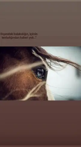 Günlerdir Behçet Gülenay'ın, 'yetim bir çocuğun oyuncağı kırılıyor içimde.' kelâmı ile evriliyorum.🥀💔