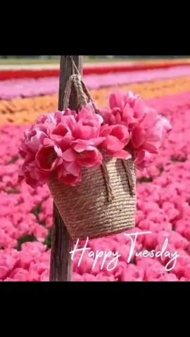 Happy​Tuesday​#MakeNightsEpic 