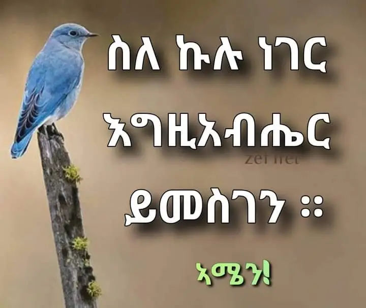 #ተመሰገን_ኣምላከይ🙏 