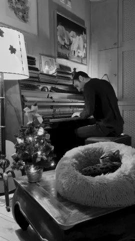 4 days to Christmas 🎄☃️🖤 this is my interpretation of Stille Nacht 🎵 #andreavanzo #stillenacht #christmascountdown #christmasmood #christmascarol #pianomusic #pianolover #pianotok #catponyo #catlovers #pianist 