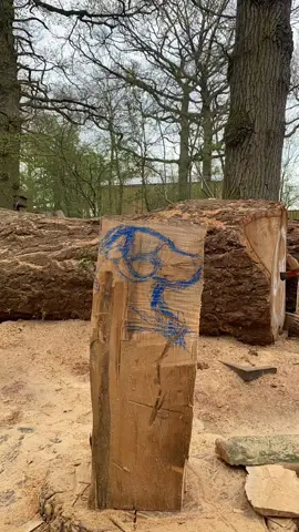 Sculpting a Staffordshire bullterrier bust…  #fyp #chainsawcarving #staffordshirebullterrier #dogart #artistsoftiktok 