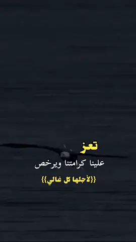 #اكسبلورexplore تعز علينا كرامتنا تابع الحساب حتى ترئ الافظل .  #مصمم*#فيديوهات👈فولو @kr._2i(#قصيد *#قصايد*#للأم *#بوح #عود *#حزن #مقاظع *#تصميم *#نجران *#تصميمي *#السعودية *#أمي #يام *#العاصوف *#explore *#ستوري #اكسبلور *#خالديات *#شلات *#إبداع *#الزيرة_سالم *#السلطا #ناصر_القصبي *#