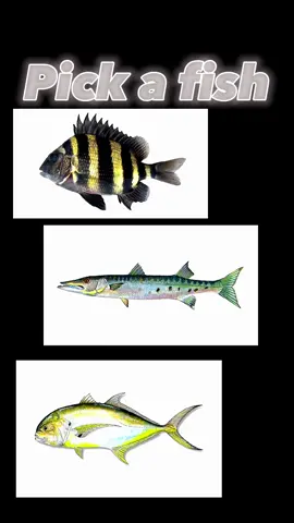 Put 3 fish in the commets for the next one #fishing #fishinglife #fishtok #fishingvid #fishingtiktoks #fish #slatwater #fishingcontent #fishingtime #slatlife #flatsboats 