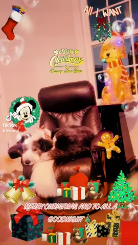 Watch the ending #christmasdreaming 