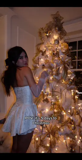Christmas countdown but make it chic #christmastree #christmas2022 #christmasphotoshoot #nyctiktok #fashiontiktok #christmasdecor 