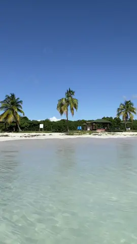 PR 🌴