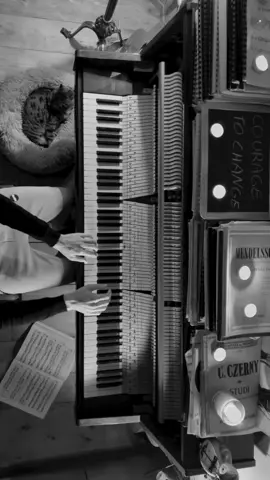 Courage to Change 🖤 - Amelié VS Experience #andreavanzo #amelie #catponyo #experience #pianolover #pianist #filmcomposer #yantiersen #ludovicoeinaudi #modernclassicalmusic #pianotok #pianocover #pianomusic 