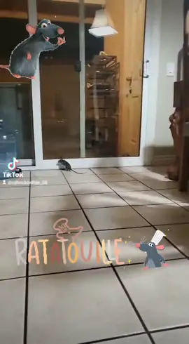 pinche ratatouille keria ayudarme a cosinar👩‍🍳🐀 #fyp #foryou #viral #ratatouille 