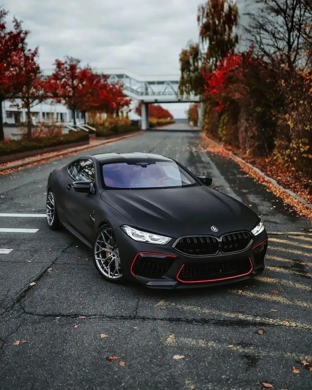 🖤BMW M8 COMPETITION 🖤 #m8competition #bmwm8 #bmwm8competition #m8m 