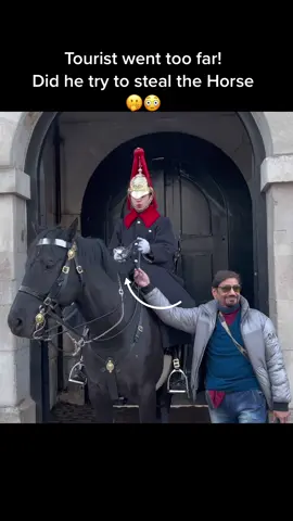 Tourist went too far this time, did he try to steal the Horse? 😳🫢 #foryou #horseguardsparade #king #guards #foryoupage #foryourpage #viral #trending #uk 