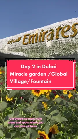 Day 2. This was a long day I slept like a baby when I got home. #HolidayOREOke #fyp #travel #uae #travelvlog #houston #toronto #capcut 