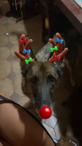 #NavidadEnTikTok 