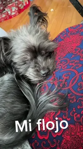 #descansando