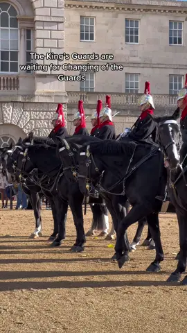 Changing of the Guards #kingsguard #royalguard #foryou 