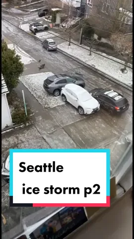 yikes, hope everyone is ok! everything might be melted by tomorrow morning? crazy! #seattle #icestorm #2022seattle #ice #dangerousweather #snowstorm #pnw #seattle2022 