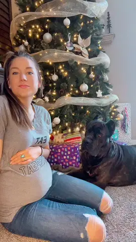 Day 5: setting your dog up for success when you are gone 🏥#dogsoftiktok #dog #DogTraining #PetsOfTikTok #dogmom #dogandbaby #canecorso 