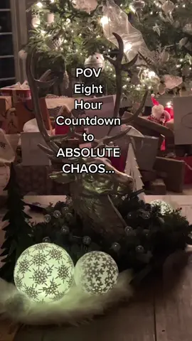 Merry Christmas Eve!! #christmas #christmas2022 #christmastree #santacame #santacamethrough 