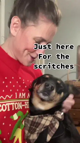 Vlogmas Ep 21 | #grwm co-starring Jovi #puppytok #rescuedog #makeuptutorial #blooper #doglover #fureverhome #homefortheholidays #makeuptok #puppy #christmasmakeup #christmasmorning #watchttillend 