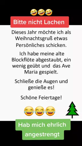 Bin Künstler kein Musiker 🤣🤣🤣 #musik #flöte #Weihnachten #avemaria #funny #funnyvideos #lustig #lustigevideos 