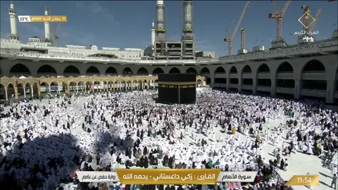 القارئ زكي داغستاني