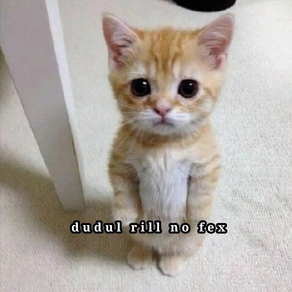 terdudul dudul#dudul #kucing#lucu #kawaii #dudulers #fypシ 