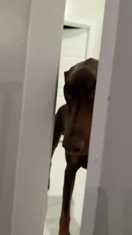 😂😂Millie dies not fuck w/ cash
