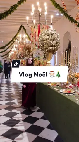 Et vous, comment était votre noël ? 🎅🏻 #Vlogmas #chateaudechenonceau #porschefrance #touraine 