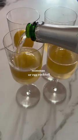 Today we learned that not everything needs to be reinvented #mimosas #cocktails #frozenmimosa 