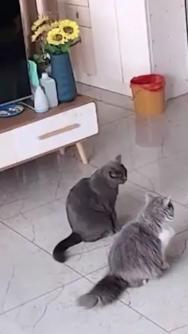 😂