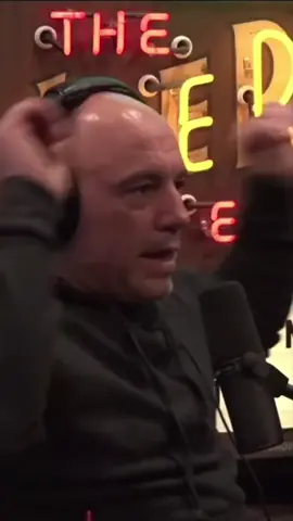 Ari Shaffir laughs a little too hard at Mark Normands joke 😂 #joerogan #shanegillis #marknormand #arishaffir #protectourparks #thejoeroganexperience #podcast #fyp 