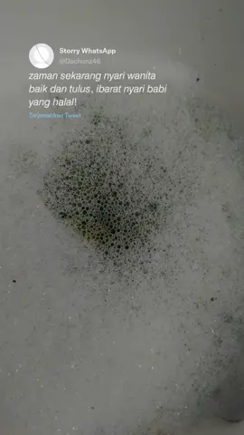 #sumseltiktok #GenerasiHappyTikTokChallenge #viralvideo #TumbuhdanTangguh #CapCut #pasion #tenanhnamngangtrenbautroi