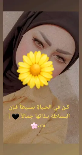 🤍:وڪُل شيئ يـأتـʊ̤ مـטּ الله جَـميل، فالحمدلله دائمـاً 🦋✨♥️