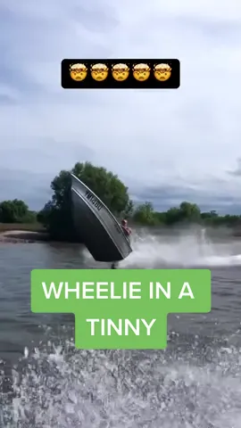 Old mate really did a wheelie in his tinny 🤯🚤 #tinny #boat #wheelie 🎥 t.roseneder06/IG