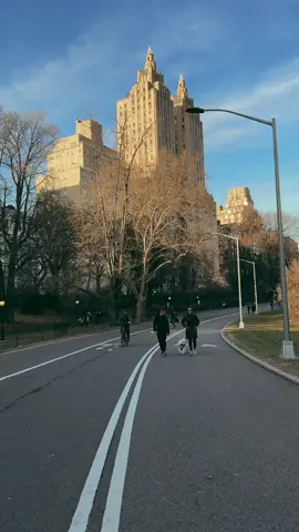 Day 1 in NYC | Central Park 
