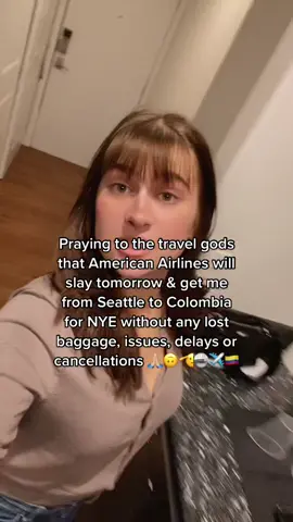 Pls don’t do me dirty tomorrow @American Airlines #holidaytravel #seatac 