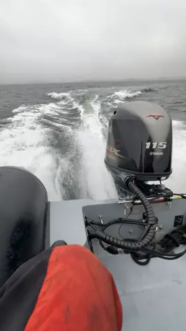 Denmark’s Cold windy weather!🥶 But still running 41 knobs! Any weather is RIB weather🌊 #fyp #speed #vmax #115hp #yamaha #ribboats 