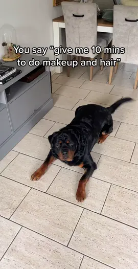 🫠🫠 #rottweiler #dogsoftiktok #voorjou 