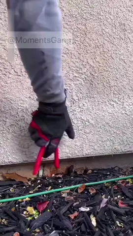 Clearing the pipes