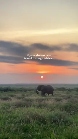 adventures on my fav continent 🌍 #travelafrica #dreamtravel #adventuretravel 