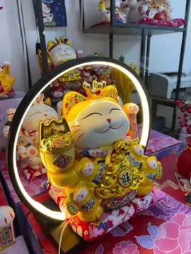 Mèo thần tai vẫy tay#meotrungtet#meoquymao#meotailoc#meothantai##ThuThachMuaBongLan #meoquymao #meongoatkhach 