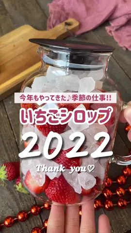 #2022tiktok #ベスト9 #いちごシロップ #ニトリ購入品紹介 #大晦日 #年越しカウントダウン 