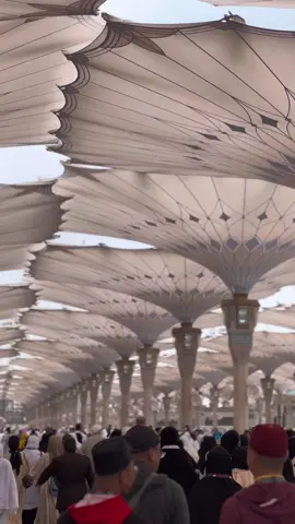 Sounds from Medina  No background music , No narration . Just how it is . #umrah2022 #medina #masjidnabawi #umrah #islamtiktok #ArabTikTok #saudi #saudiarabia #madinah #dua #arab #prayer #sounds #asmr #travel #arabictiktok #muslimtiktok #mashallah 