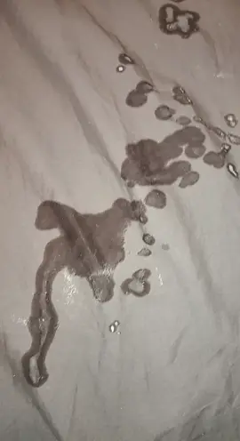 I found slime on my stepbrother's bed 🤩