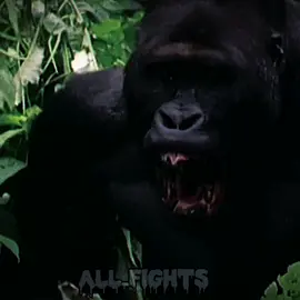 Menacingly💀#wildlife #animals #cold #viral #fy #edits #gorilla #brutal #fyp #safari 