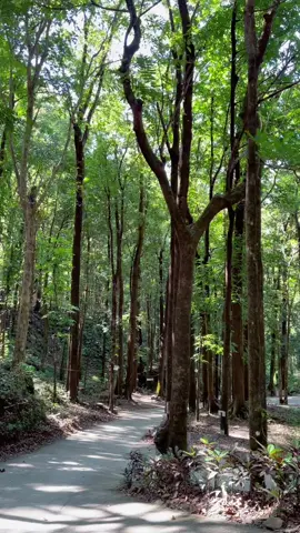 📍 Villa Valderamma Mountain Resort, Valderamma, Antq #Antique #bestintown #tourism #talltrees #niceambience 