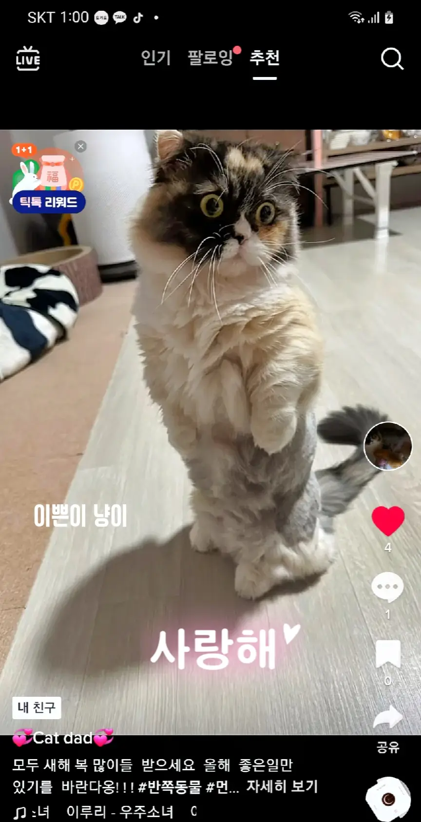 냥이 아빠 냥이. 아프지말고 건강하게 살장 ㅋ