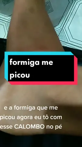 eu tenho alergiaaaaa #vaiprofycaramba #felizanonovo #alergia #formigas