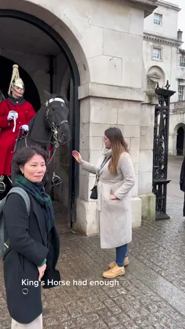 King’s Horse had enough if these Tourists. #foryou #horseguardsparade #king #guards #foryoupage #foryourpage #viral #trending #uk 